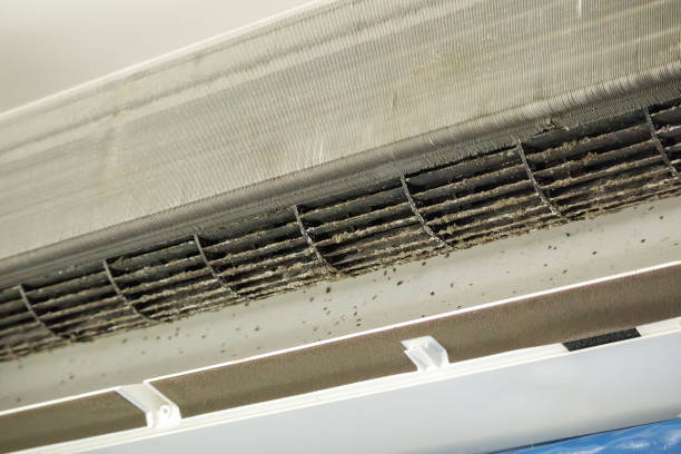 Best Affordable Air Duct Cleaning  in Loch Sheldrake, NY